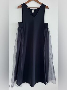 Elegant Black Sleeveless Dress with Sheer Side Pocket Panels